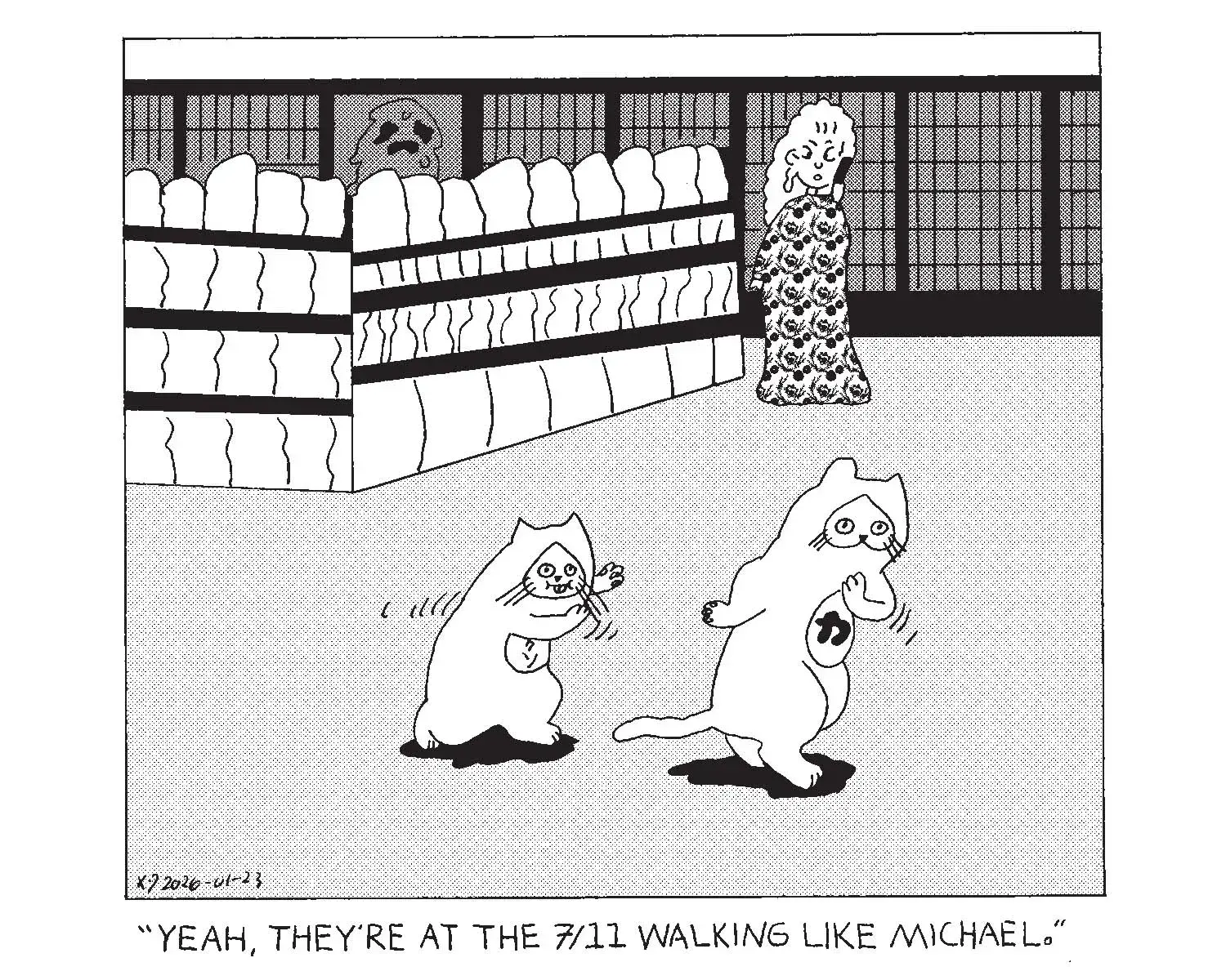 strip from 2026/01/23