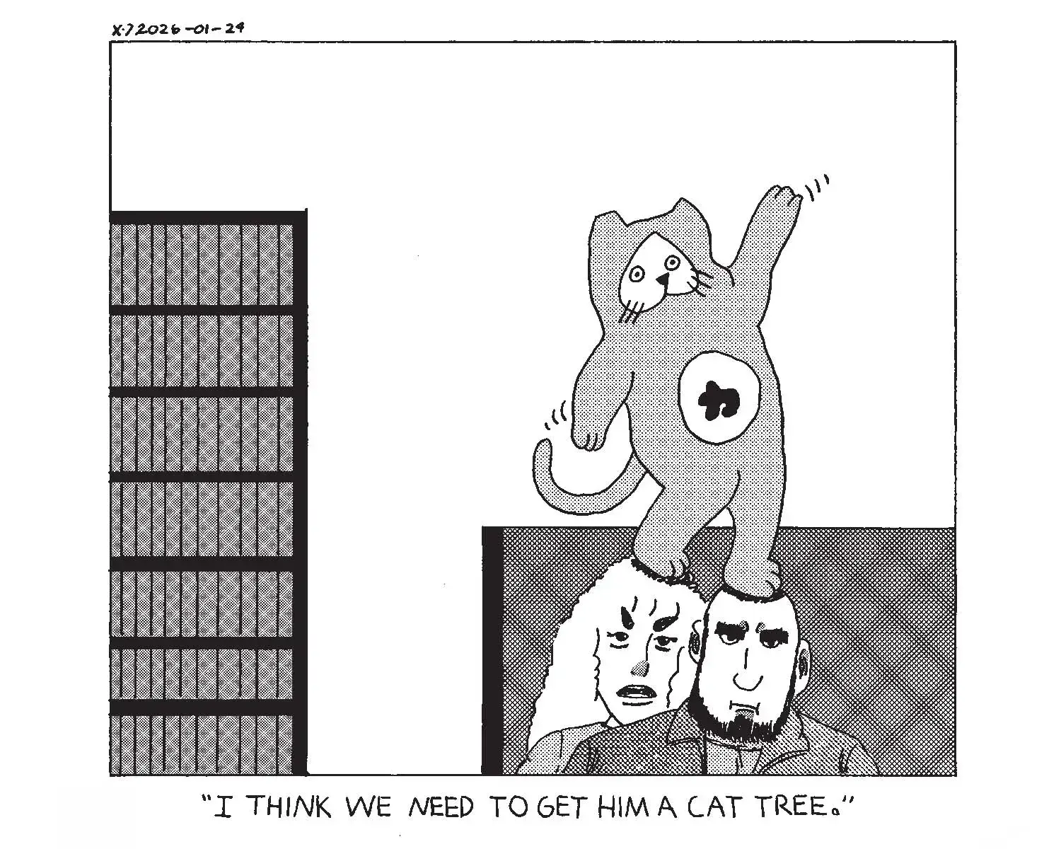 strip from 2026/01/24