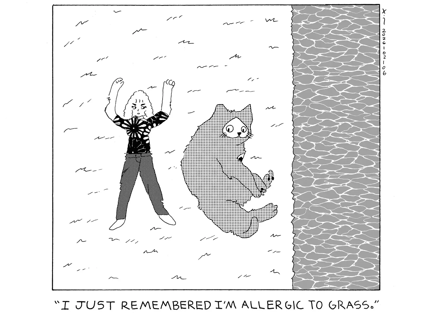 strip from 2026/02/06