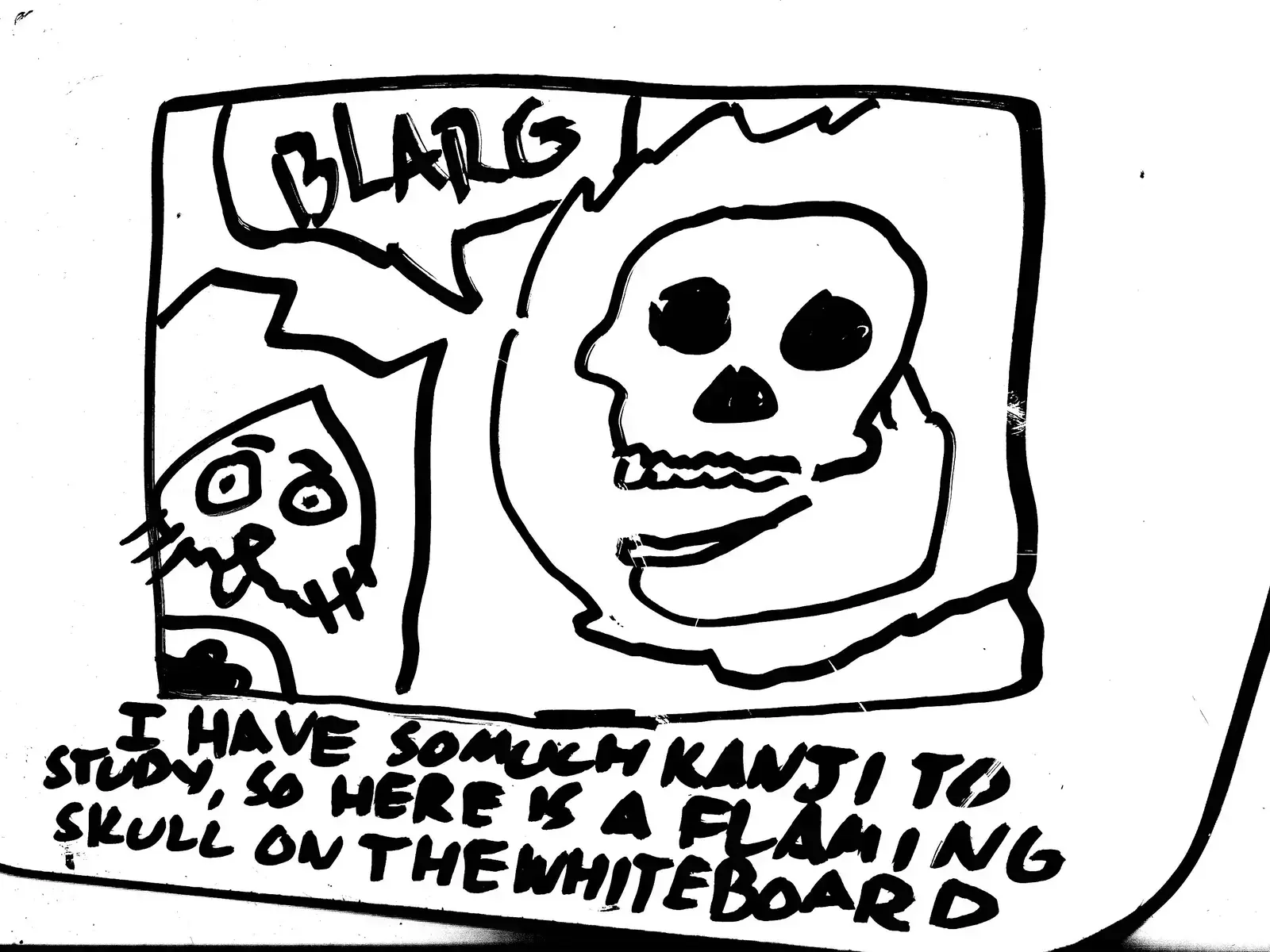 strip from 2026/04/12