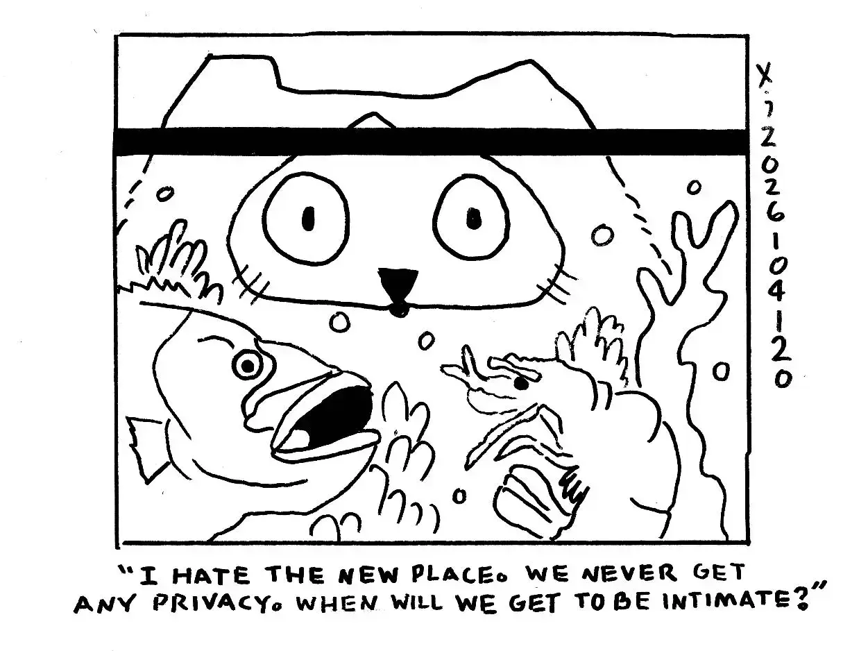 strip from 2026/04/20